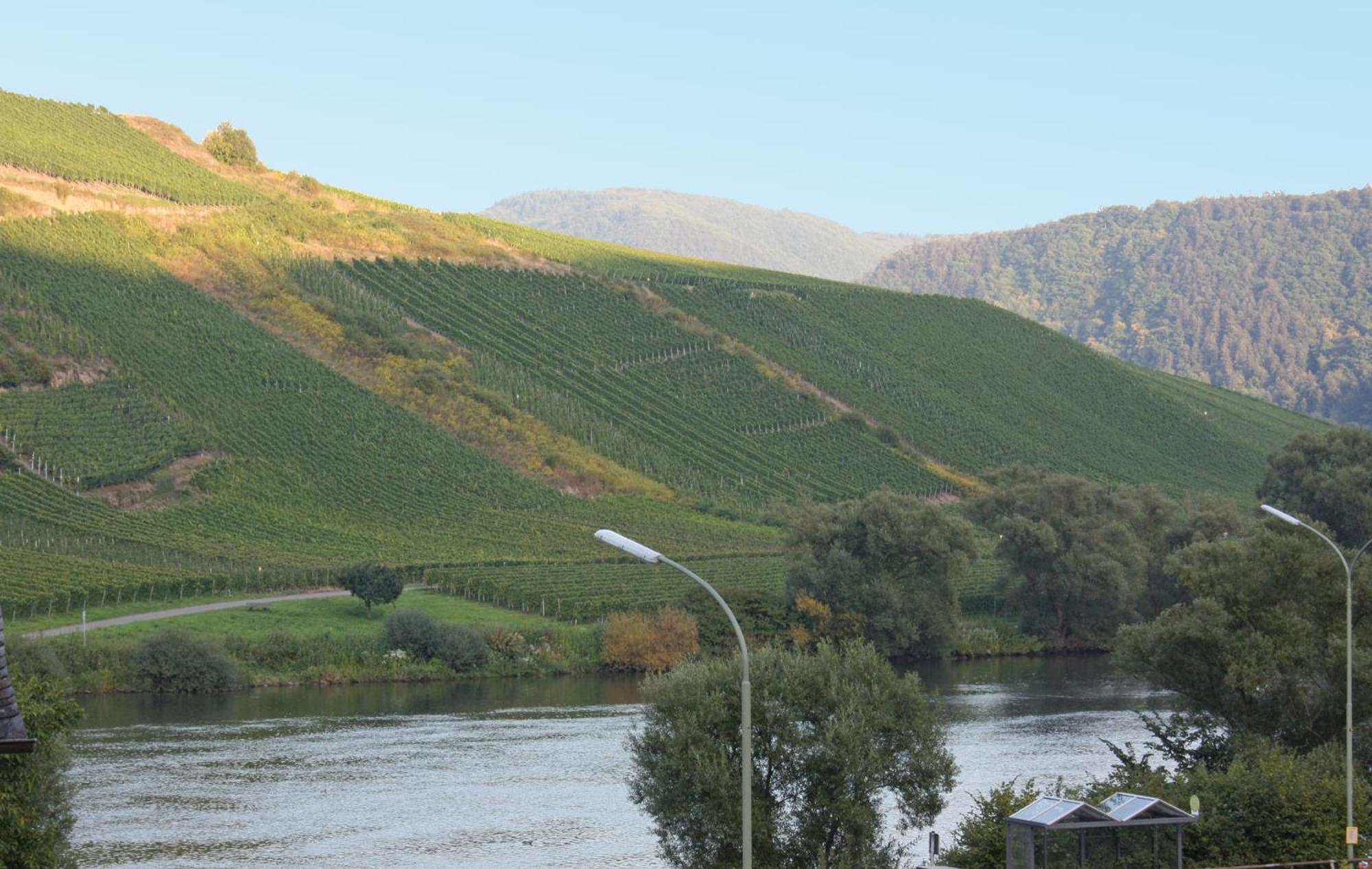 Gaestehaus Herda بريديل المظهر الخارجي الصورة